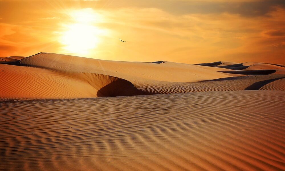 dune