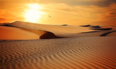 dune