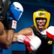 Nuova lega pugilistica