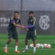 I Green Falcons sono in USA